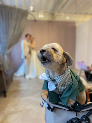 スタジオ撮影・オフショット