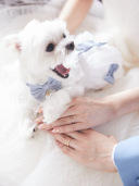 お手元ショット集 Part2