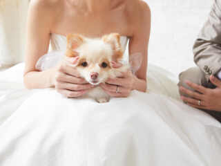 スタジオ撮影・ワンちゃんと一緒にウェディングフォト
