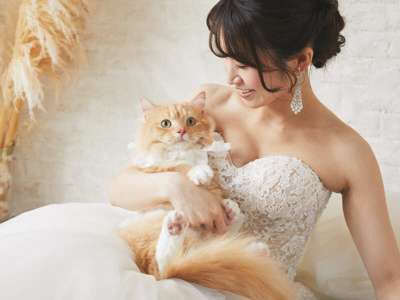 スタジオ撮影・猫ちゃんと一緒にウェディングフォト