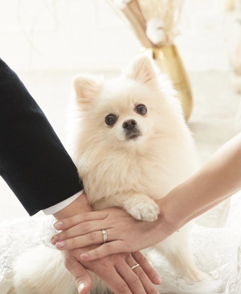 愛犬とウェディングフォト