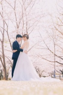 桜ロケーションフォト¥115000