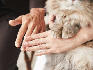 お手元ショット