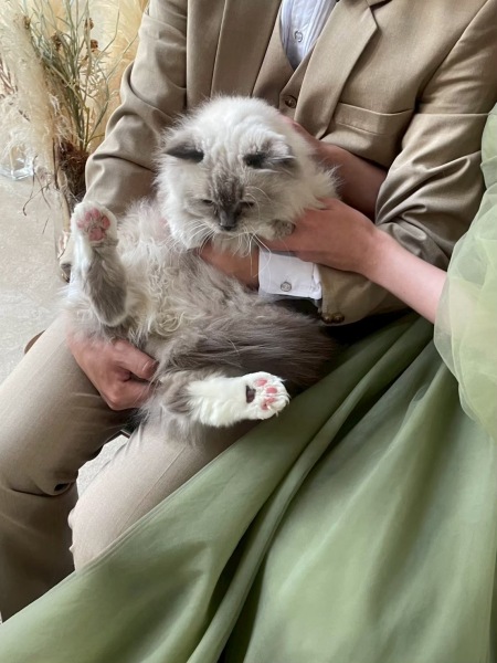 フォトオフショット