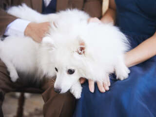 ♪愛犬フォト♪