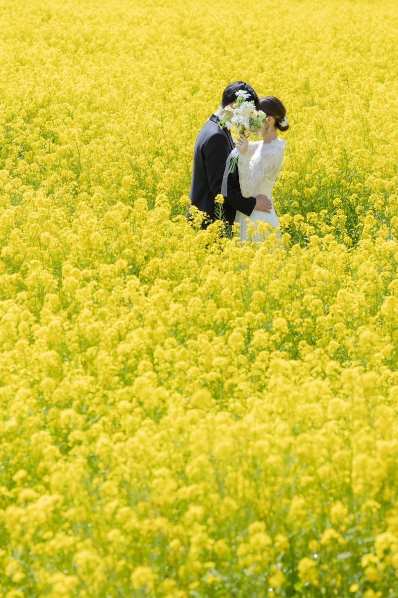 春の彩りに包まれて。河津桜と伊豆の絶景散歩。