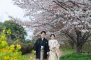 昭和記念公園・和装2着ロケーション。桜と日本庭園に溶け込む淡い色彩