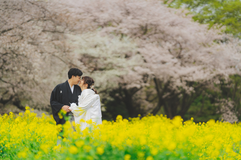春の昭和記念公園のご紹介