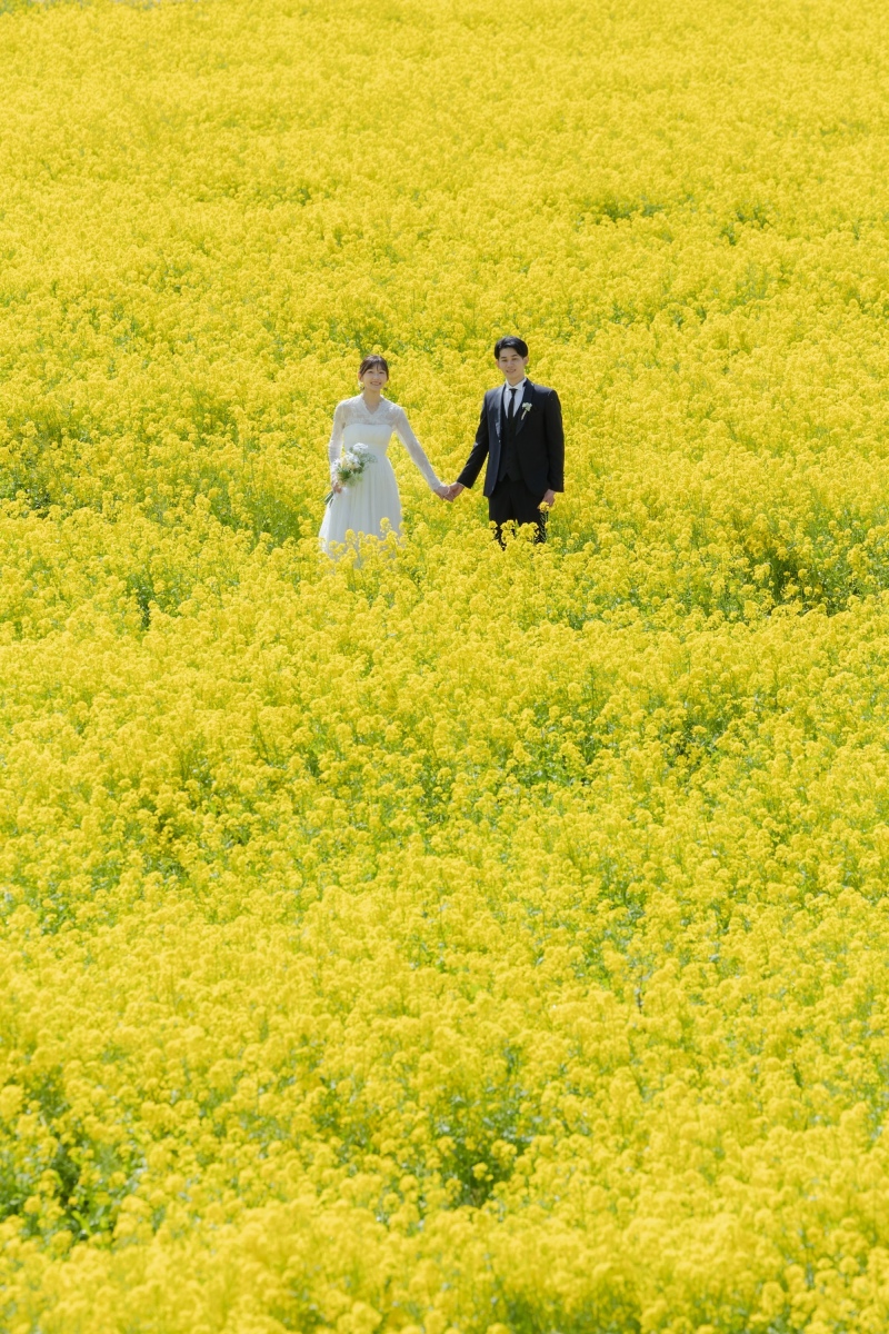 春の彩りに包まれて。河津桜と伊豆の絶景散歩。