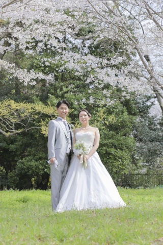 桜撮影とハウススタジオで撮影しました！