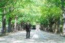 銀杏並木と白無垢で、とっておきのウェディングフォト♪