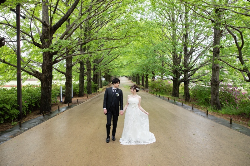 昭和記念公園のネモフィラ