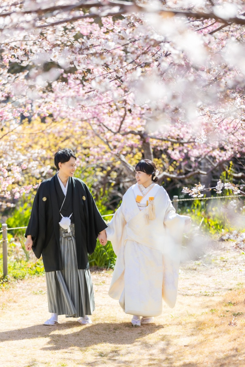 伊豆の桜