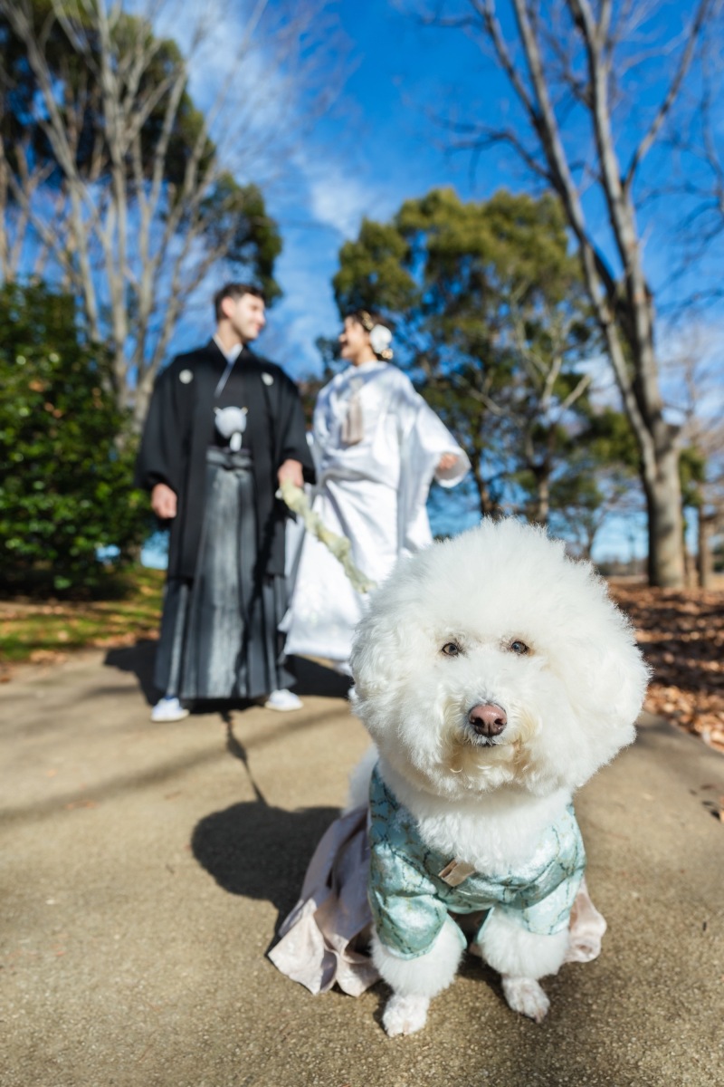 12月和装ロケーション＋犬