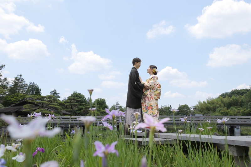 昭和記念公園の紫陽花