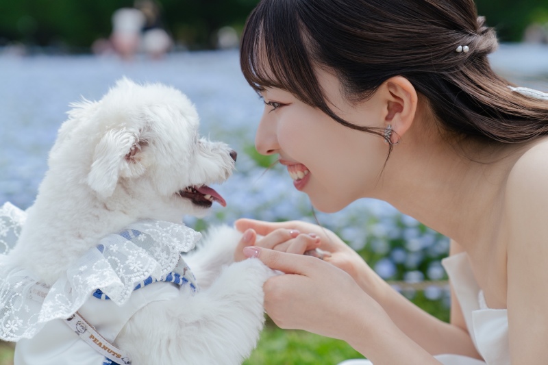 愛犬と叶えるウェディングフォト