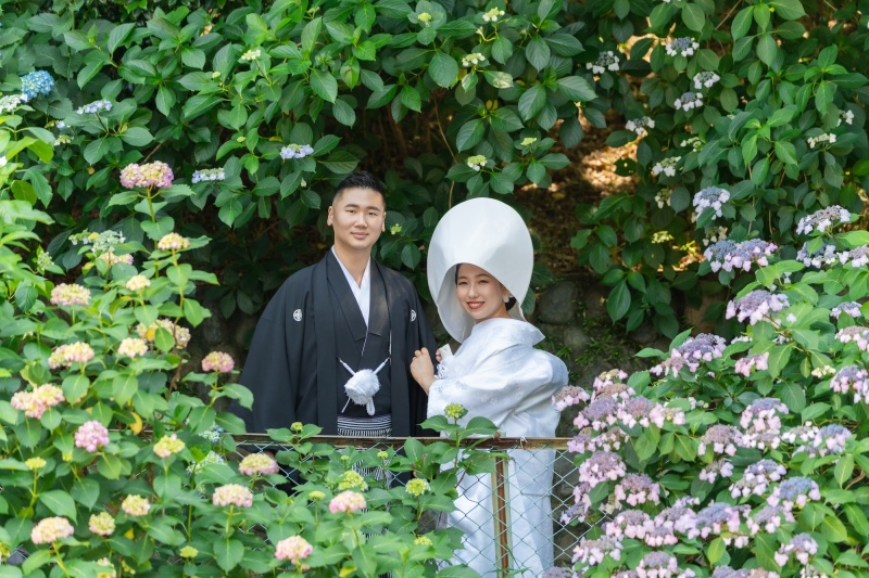 人気の紫陽花ロケーション