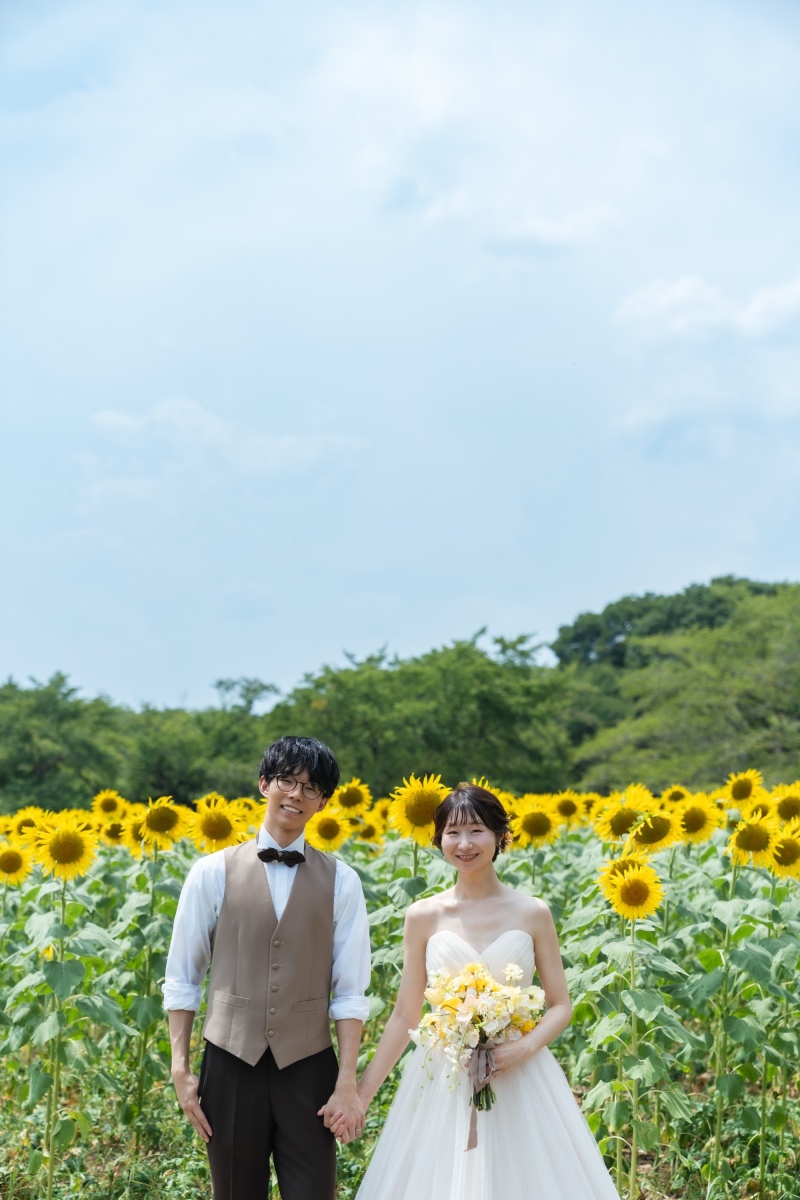 ひまわり以外の撮影スポットのご紹介