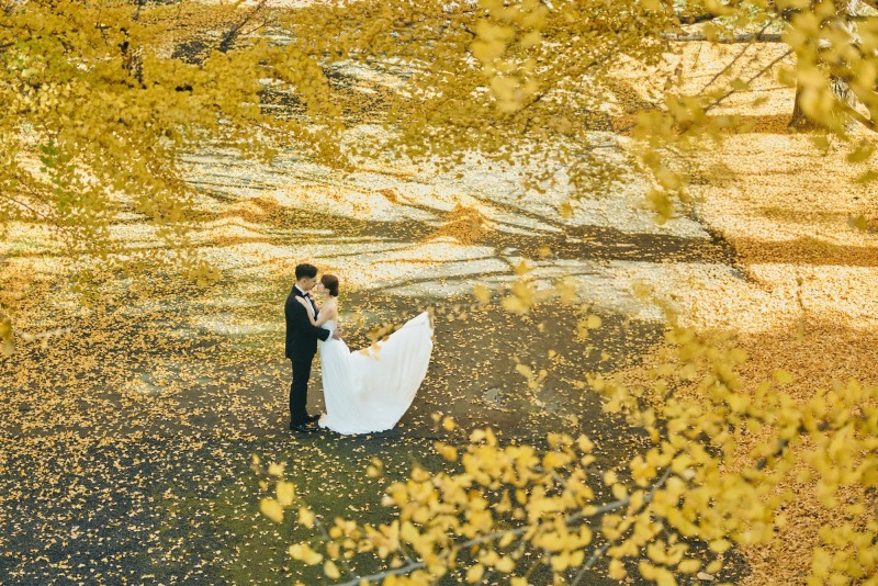 イチョウと洋装でエレガント撮影✨