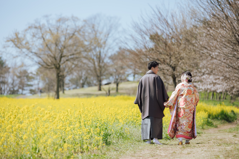 菜の花と桜に囲まれて