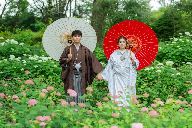 紫陽花ロード 『昭和記念公園』