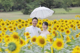 夏の撮影プラン