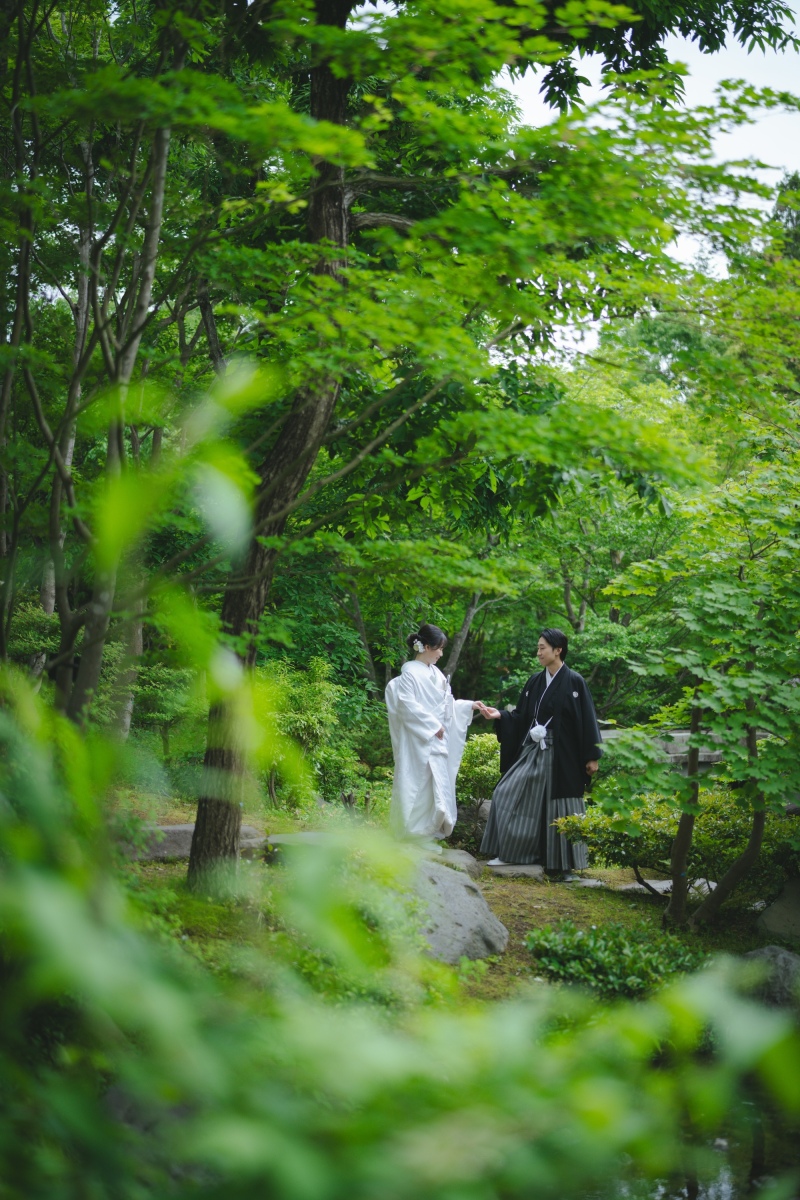 ネモフィラと日本庭園