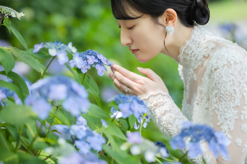 紫陽花と