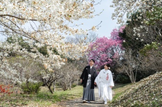 昭和記念公園和洋ロケーション