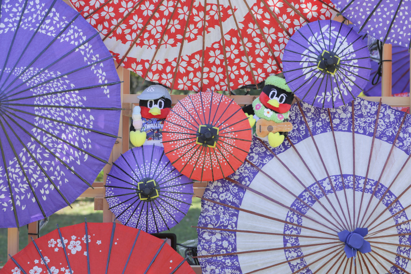 天気に恵まれた和装撮影!with推しアイテム。