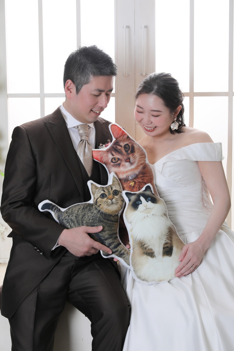 猫ちゃんのぬいぐるみとの撮影