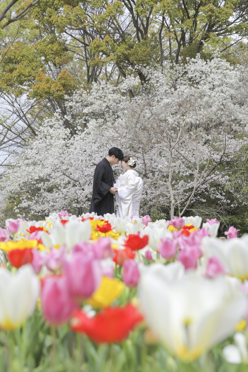 4月一発目の春撮影!