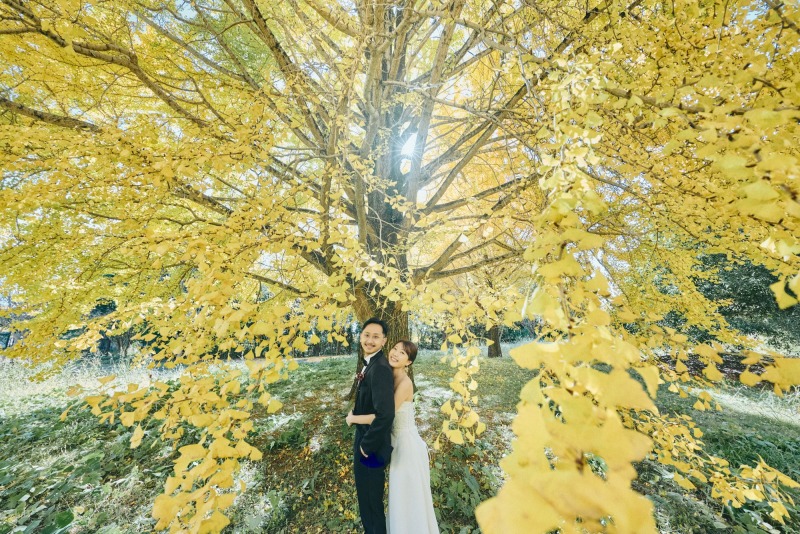 イチョウと洋装でエレガント撮影✨