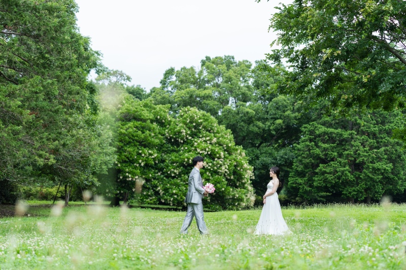 Lush Green, Pure Love