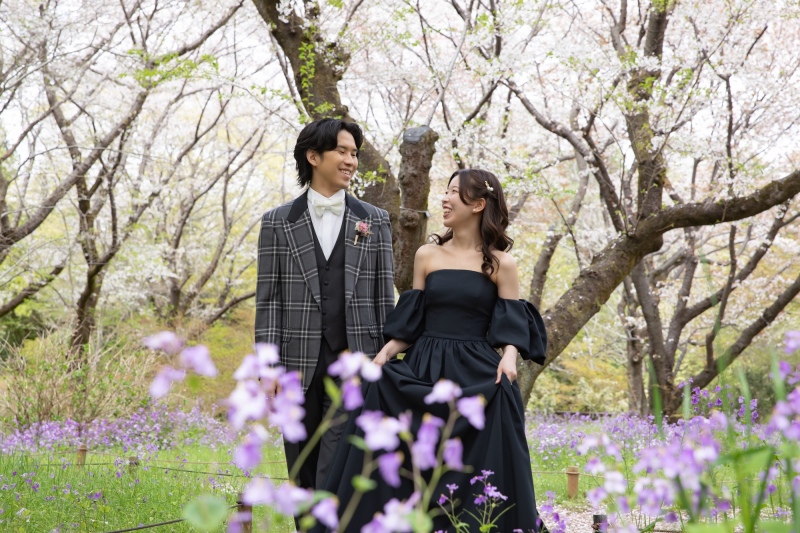 昭和記念公園の桜と菜の花