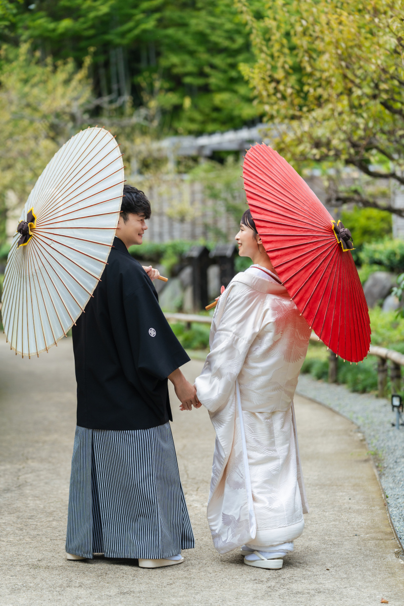 コスモスと日本庭園