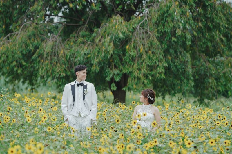 お花の綺麗な季節