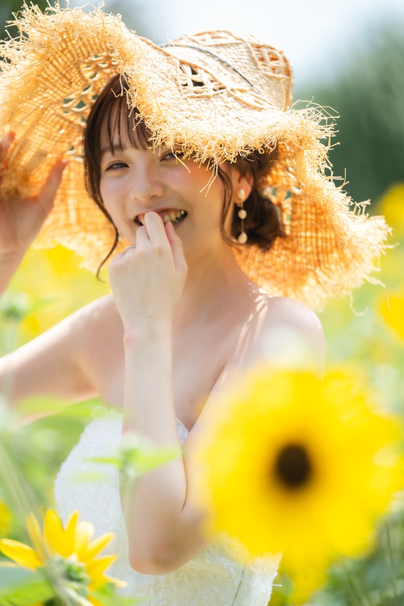 昭和記念公園のひまわり