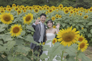 ひまわりと新緑の散策ツアー！