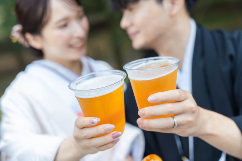 コスモスと日本庭園