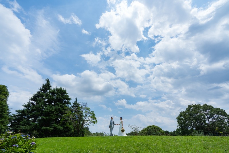 昭和記念公園で紫陽花と華やかに撮影