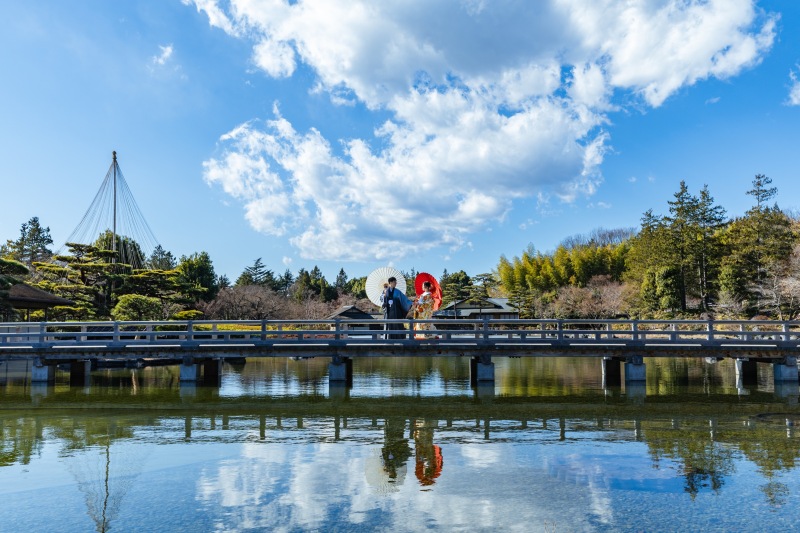 昭和記念公園の冬の撮影