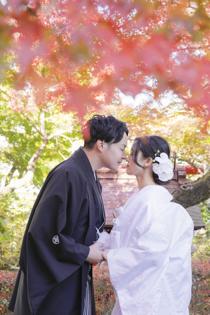 大 人 気”紅葉”のロケーション撮影