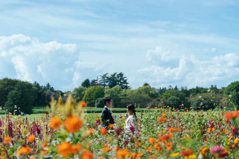 昭和記念公園のコスモスとブーケガーデンで紡ぐ、秋のウェディングフォト
