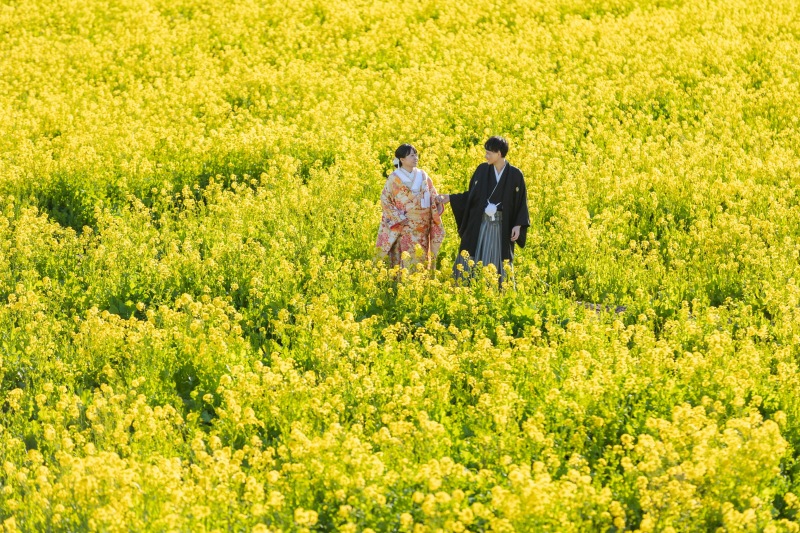 伊豆の桜