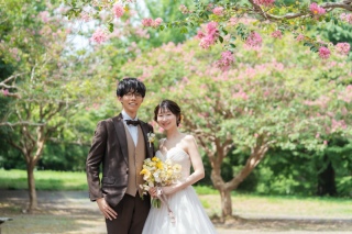 ひまわり以外の撮影スポットのご紹介