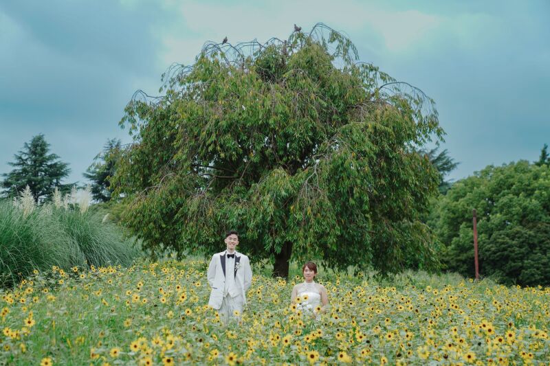 お花の綺麗な季節