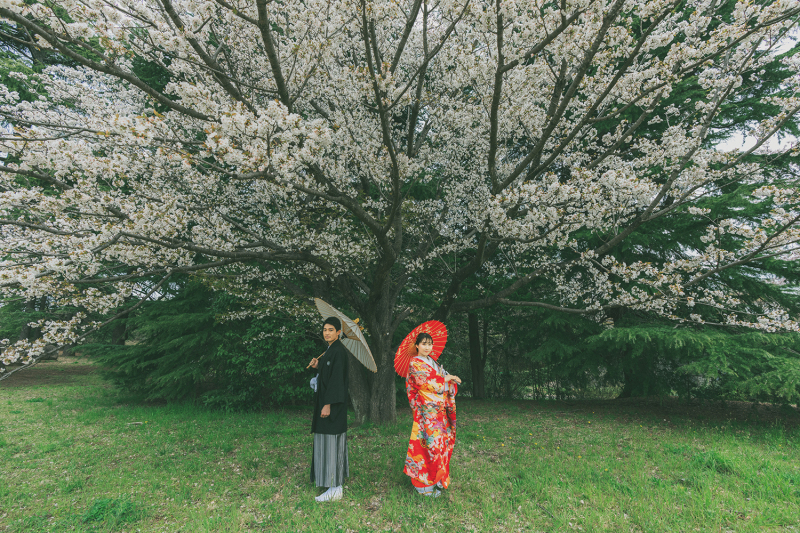 桜の季節