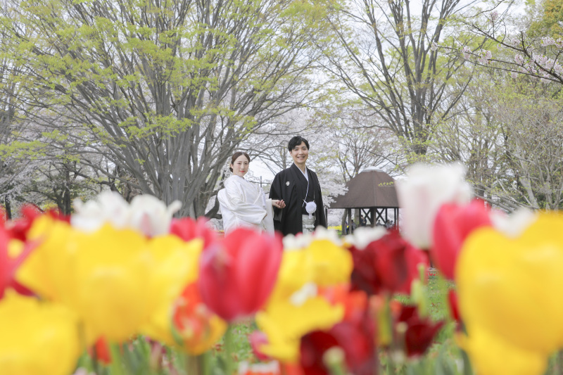 4月一発目の春撮影!