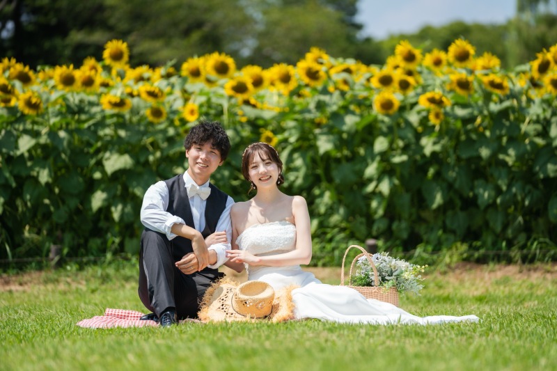 昭和記念公園のひまわり